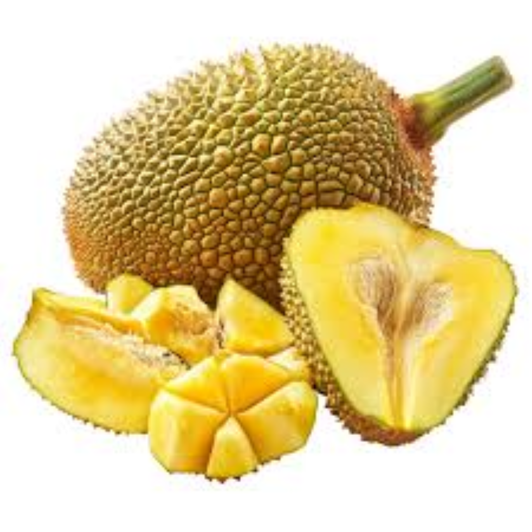 FRESH JACK FRUIT